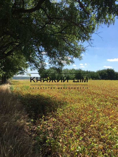 Продаж земельної ділянки 60 соток на М. Михайлюка, 45  - фото 5