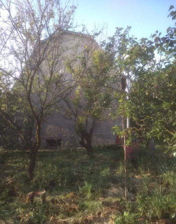 Продам 2-х этажный дом-дачу в р-не с.Палиево (Надлиманский массив) Одрадове