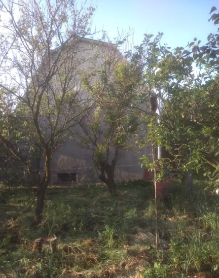 Продам 2-х этажный дом-дачу в р-не с.Палиево (Надлиманский массив) Одрадове - фото 5