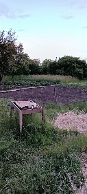 Продам дачу в кооперативі Новопавлівські сади Кропивницький - фото 8