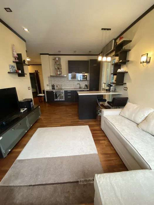 Оренда Квартира 1-кімнатна, 14/25 поверх на ул. Саксаганского Kiev - photo 1