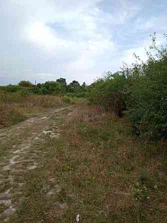 Продаж земельної ділянки 11.33 соток 