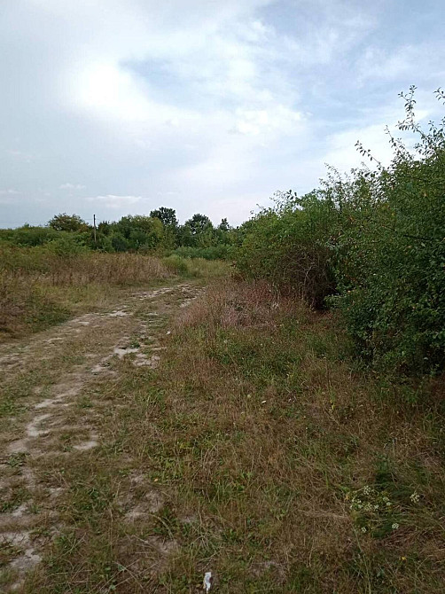 Продаж земельної ділянки 11.33 соток  - photo 1