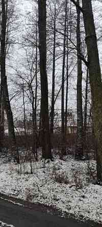 Продаж земельної ділянки 16 соток Protsiv