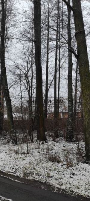 Продаж земельної ділянки 16 соток Protsiv - photo 2