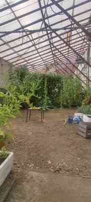 Дом с собственным бизнесом Нерубайське