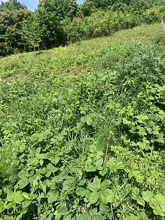 Продаж земельної ділянки 8 соток Посіч