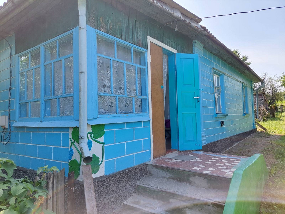 Продаж Будинок Nemyriv - photo 1