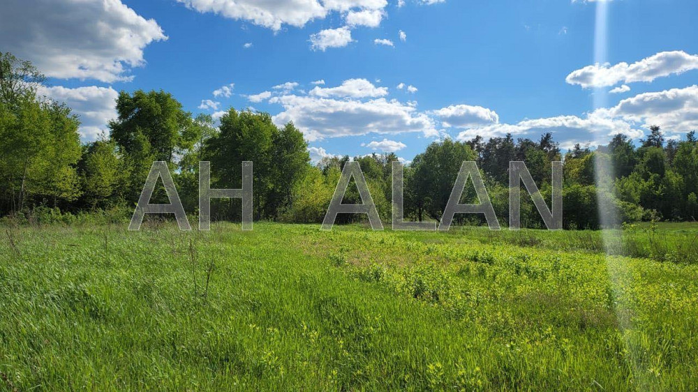 Продаж земельної ділянки 43.15 соток на вул. Лісна Таценки - фото 9