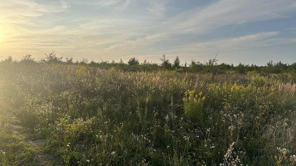 Продаж земельної ділянки 10 соток Baikivtsi - photo 7