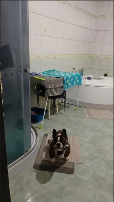 Продаж 2-поверховий Будинок  252 кв.м 7+ кімн.  Дніпро - фото 16