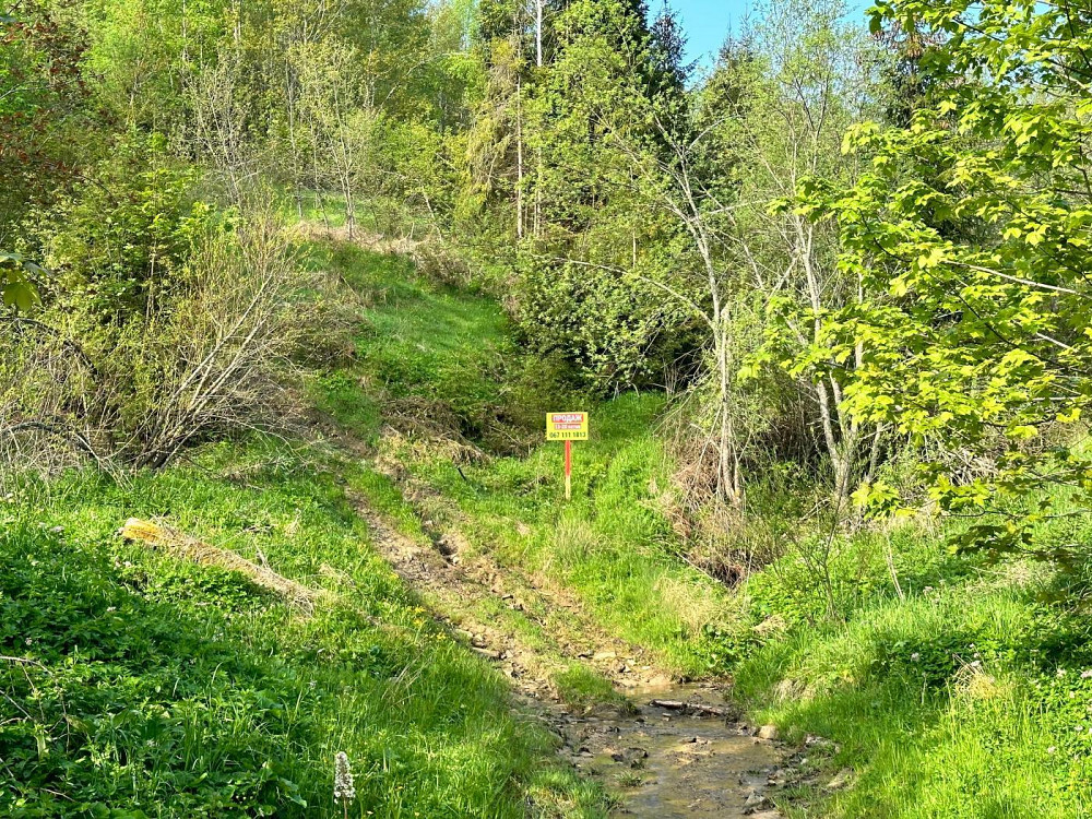 Продаж земельної ділянки 20 соток на вул. Під Митою Орявчик - фото 5