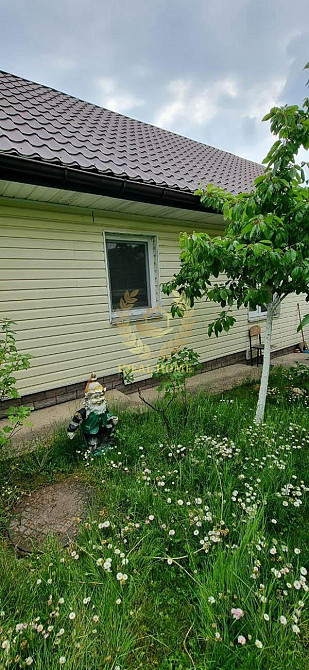 Продаж будинку в Михайліка - Рубежівка, хутір Красне Михайлівка-Рубежівка - фото 16