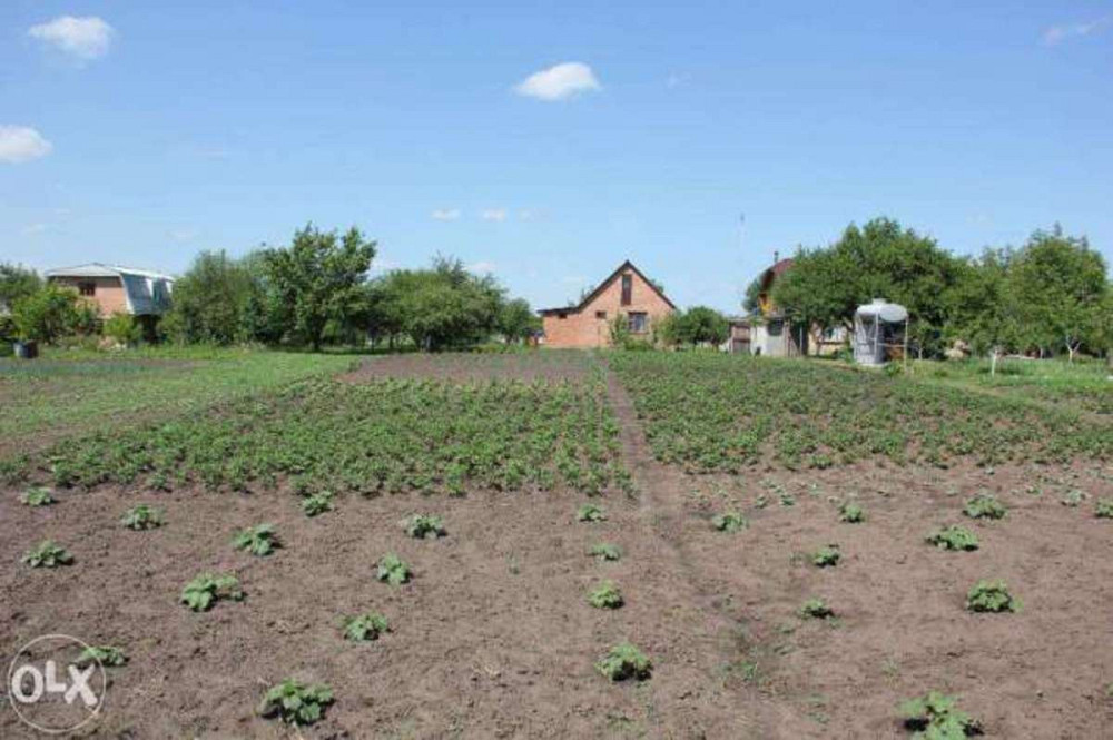 Продаж 1-поверховий Будинок з ділянкою 20 сот 56 кв.м  на Авиаторов Вільна Тарасівка - фото 3