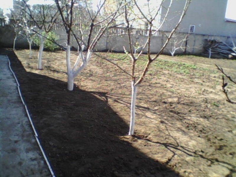 2 этажный дом в Киевском районе в 5 минутах от моря Одесса - изображение 11