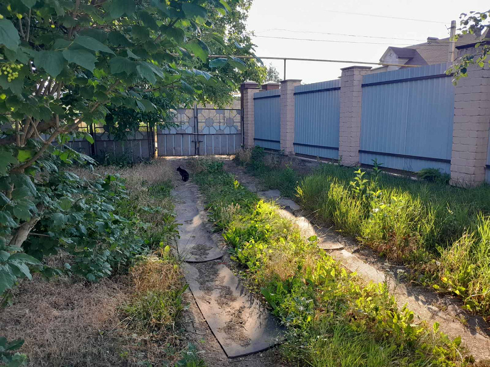 Продам домик с участком 6.8 соток в Фонтанке-3 (Лиманский р-н, 5 км от Одессы) Фонтанка - фото 11