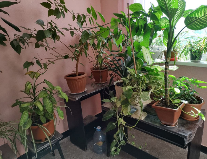 Продам 3-комн., Бугаевская / Средняя/ Балковская. Одесса - изображение 19