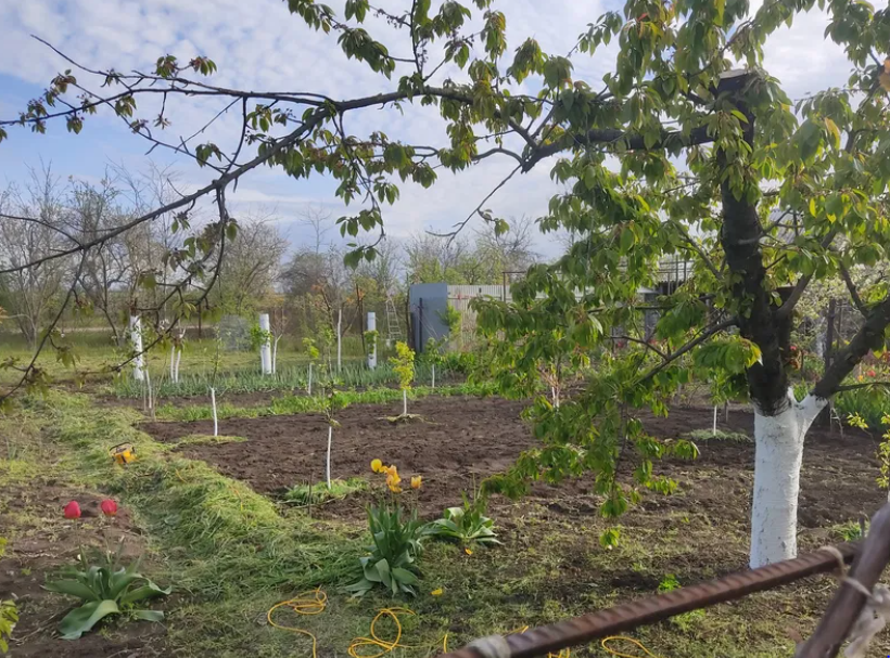 Дом в Алтестово, рядом лес и лиман. Алтестове - фото 9