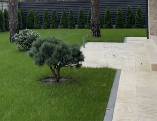 Продаж земельної ділянки 6 соток на вул. Лазурна Одесса