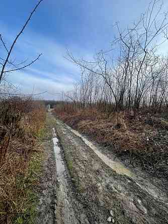 Продаж земельної ділянки 8.2 соток 