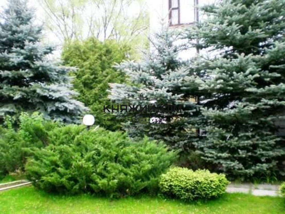 Продажа дома в Зазимье на берегу р. Десны. № 228913 Зазим'я - фото 4