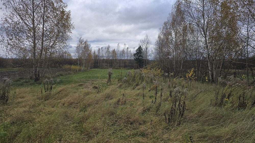 Продаж земельної ділянки 16.78 соток на Євгенгії Мачерет Ивановка (Баранивський район) - изображение 5