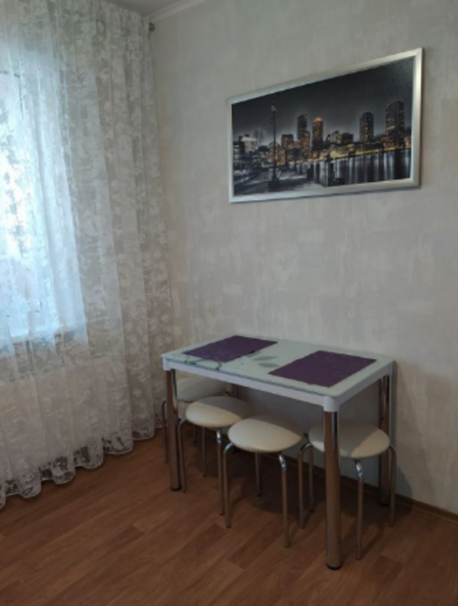 Оренда Квартира 1-кімнатна на Елизаветы Чавдар ул. Киев - изображение 8