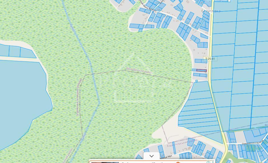 Продаж земельної ділянки 25 соток Bezuhlivka (Boryspilskyi raion) - photo 3