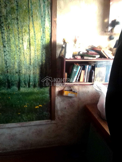 Продаж Будинок 5-кімнатний на вул. проспект Зеленогайський Высокий - изображение 10