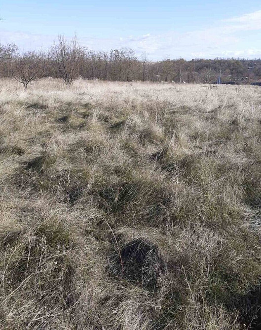 Продаж земельної ділянки 17 соток Липове - фото 1