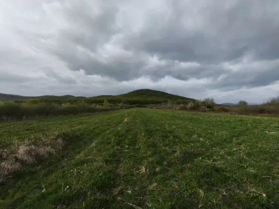 Продаж земельної ділянки Для будівництва приватного житлового будинку площа 7 сот Вільхова Ужгород