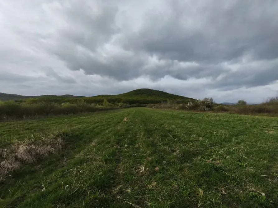 Продаж земельної ділянки Для будівництва приватного житлового будинку площа 7 сот Вільхова Ужгород - фото 3