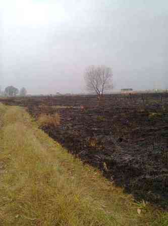 Продаж земельної ділянки 10 соток 