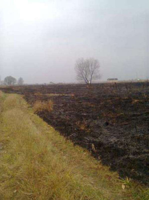 Продаж земельної ділянки 10 соток  - фото 2