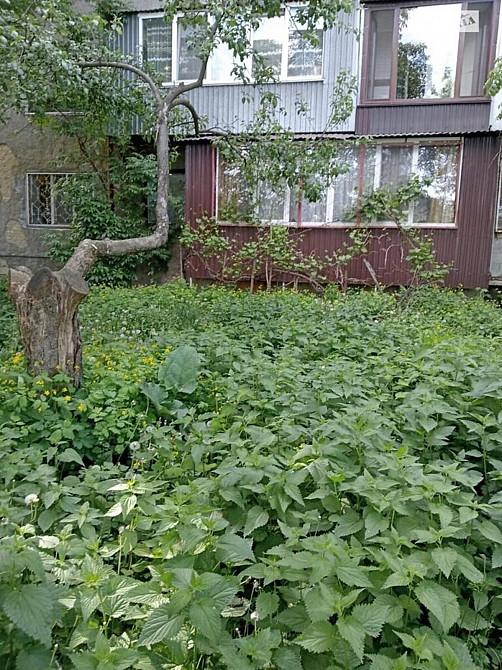 Продаж Квартира 3-кімнатна, 1/5 поверх на Коріатовичів Вінниця - фото 3