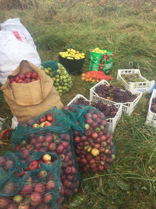 Продаж Будинок Горохолина - изображение 16