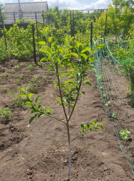Дом в Алтестово, рядом лес и лиман. Алтестове - фото 7
