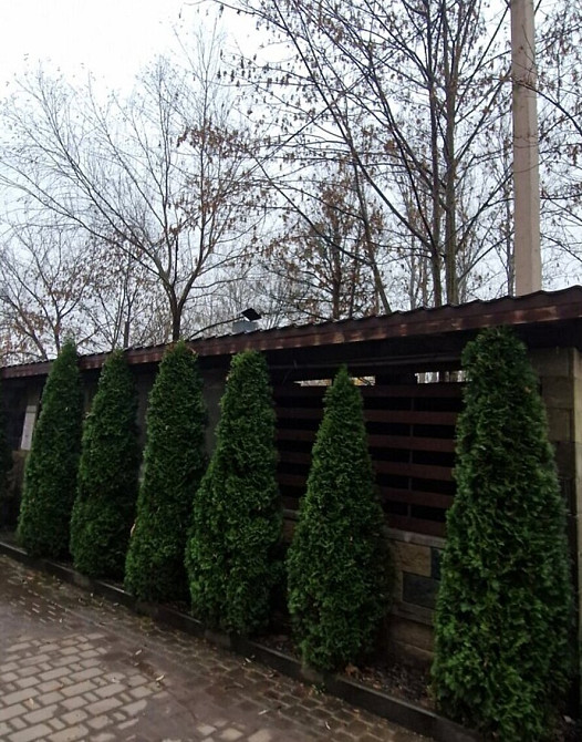 Продаж Квартира 1-кімнатна, 9/10 поверх на вул. Целевича Ю. Ивано-Франковск - изображение 9