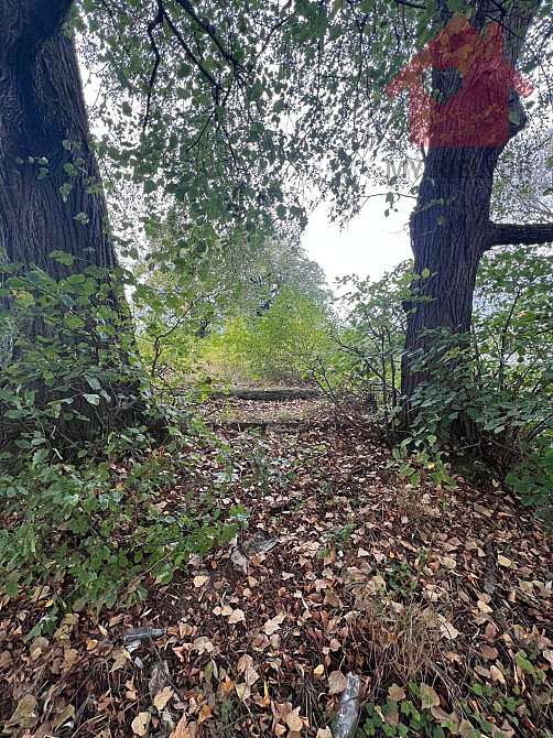 Продаж земельної ділянки 29.4 соток  - photo 9