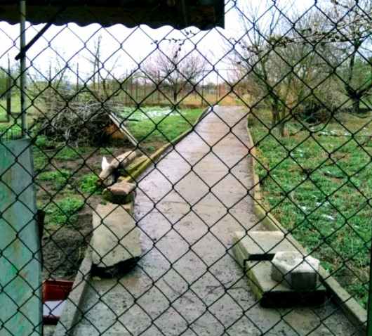 дом в Протопоповке Протопопівка - фото 3