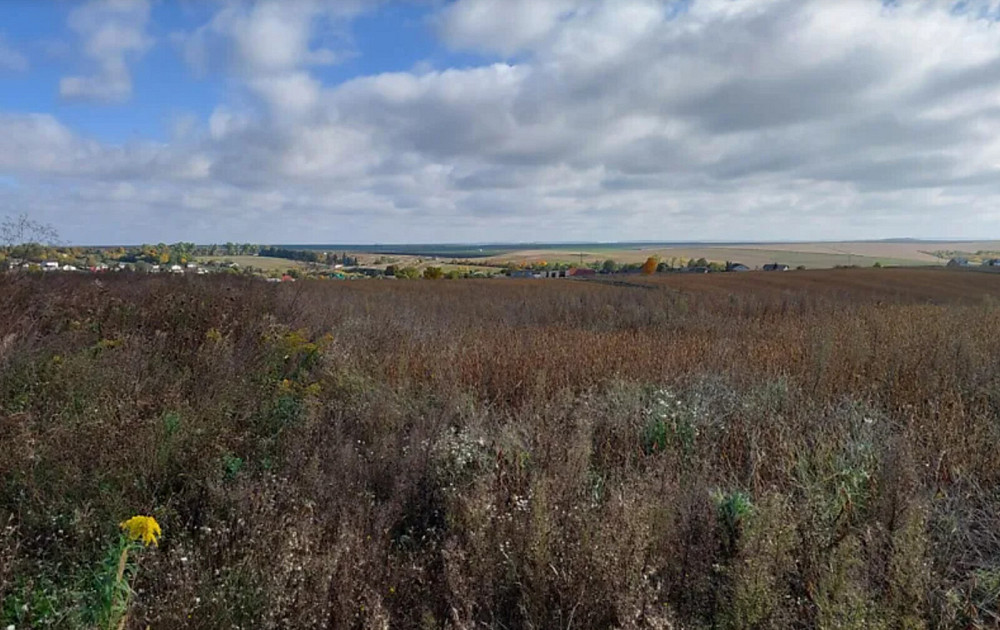 Продаж земельної ділянки 20 соток Baikivtsi - photo 3