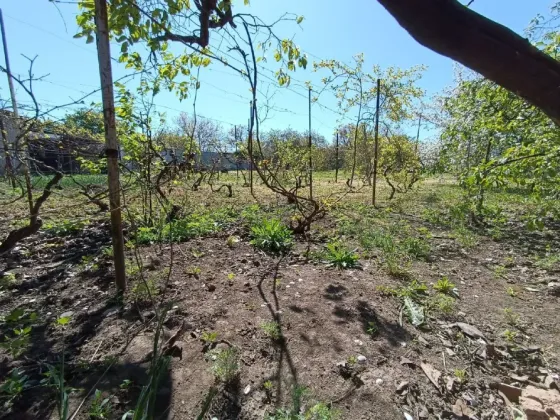 For sale 1-storey House with land 20 ares 103 sq.m 4 rooms at Патриотическая Fontanka