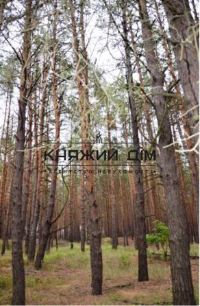 Продаж земельної ділянки 22 соток Проців