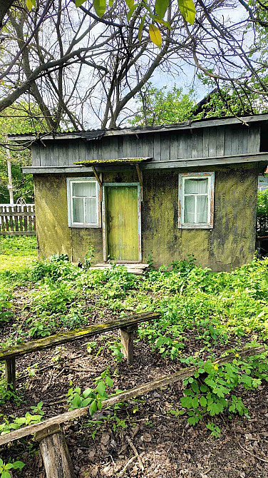 Продаж земельної ділянки 48 соток на Мічуріна  - фото 8