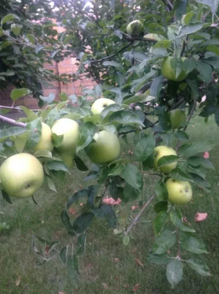 Продам 3-х этажный дом в Фонтанке-2 (ТЦ "Ривьера") Фонтанка - фото 10