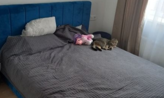 Евродвушка с ремонтом в 49 Жемчужине Лиманка