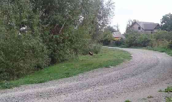 Продаж земельної ділянки 20 соток Іванків