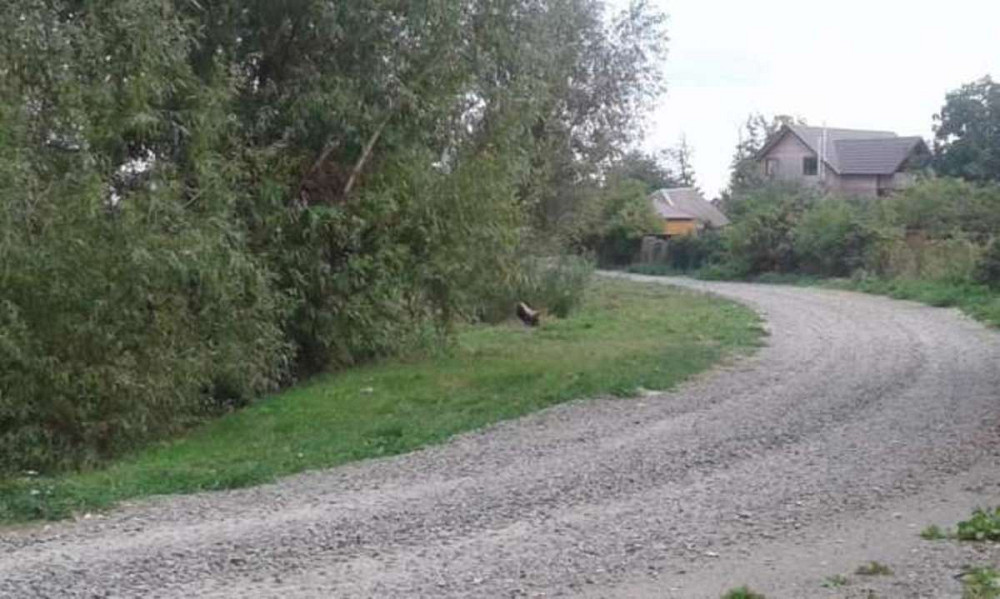 Продаж земельної ділянки 20 соток Іванків - фото 2