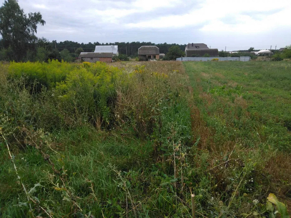 Продаж земельної ділянки 16 соток на Вербова Иква - изображение 5