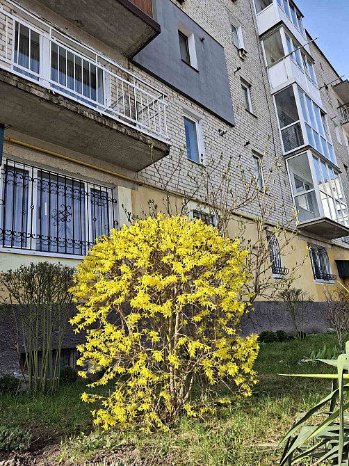 Продаж Квартира 3-кімнатна, 5/5 поверх на вул. Горбача Кременець - фото 4